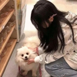 御史大冒险兑换码无限制版下载